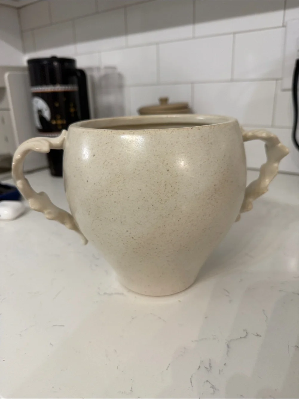 ✨ NEW STUDIO MCGEE short botanical handle ceramic vase